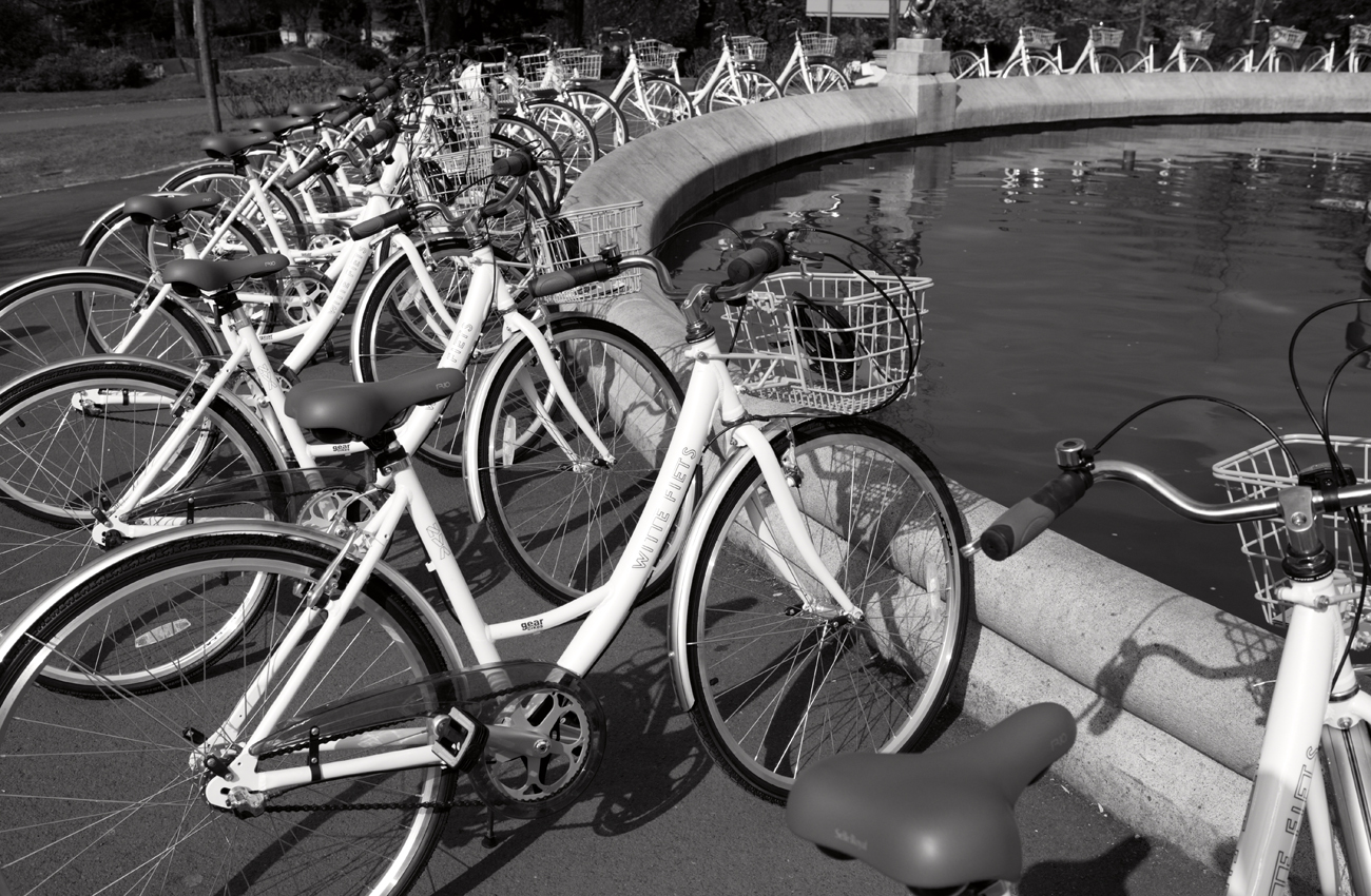 Images courtesy of NVA. Photo: Neale Smith.