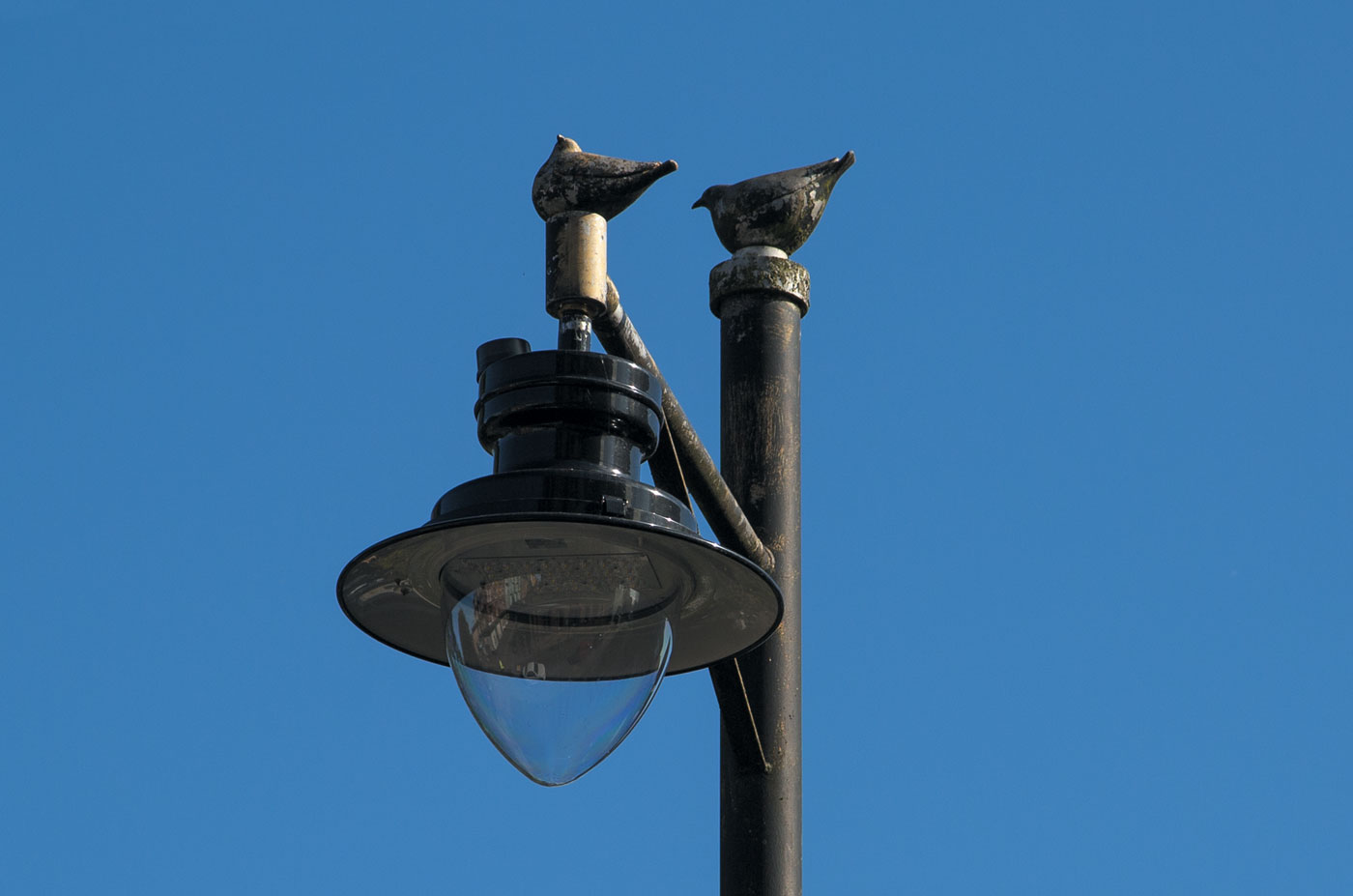 Image courtesy of The Artist. Photo: Eimear Coyle.